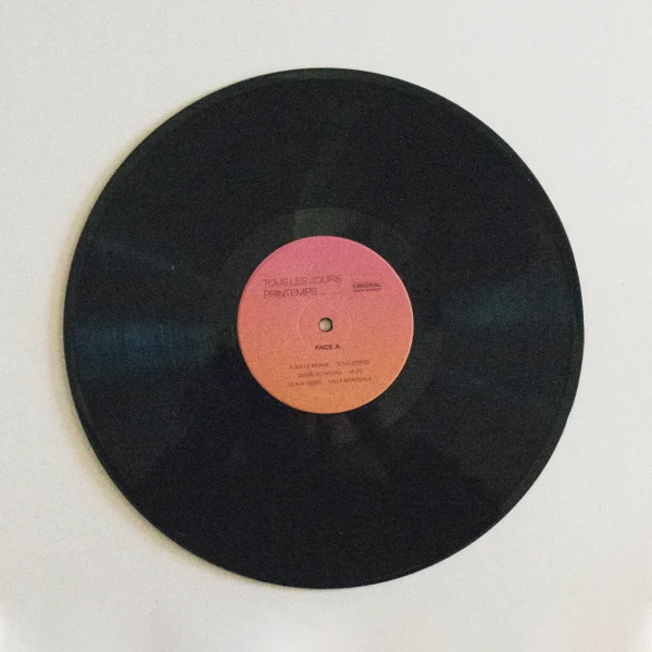 Vinyle TLJP – Image 2